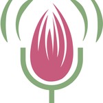 Logo of the podcast Kissa: A Story Podcast Podcast Kissa: A Story Podcast