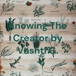 Logo of the podcast Knowing The Creator with Vashti G. Podcast Knowing The Creator with Vashti G.