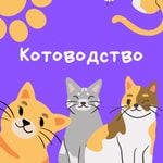 Logo of the podcast Котоводство Podcast Котоводство