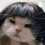 Podcast Kpop
