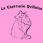 Logo of the podcast La Chatterie Ovilloise : élevage de chats Sibériens et conseils pour une adoption réussie ! Podcast La Chatterie Ovilloise : élevage de chats Sibériens et conseils pour une adoption réussie !