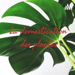Logo of the podcast La domestication des plantes Podcast La domestication des plantes