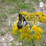 Logo of the podcast La entomología Podcast La entomología