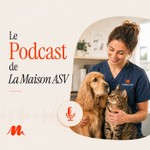 Logo of the podcast La Maison ASV Podcast La Maison ASV