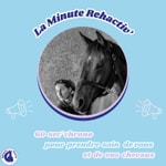 La Minute Rehactiv' Podcast La Minute Rehactiv'