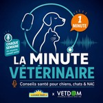 Logo of the podcast La Minute Vétérinaire Podcast La Minute Vétérinaire