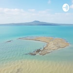 Logo of the podcast La Nouvelle Zélande 🥝 Podcast La Nouvelle Zélande 🥝