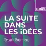 Logo of the podcast La Suite dans les idées Podcast La Suite dans les idées