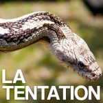 Logo of the podcast La tentation Podcast La tentation