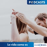 La vida como es Podcast La vida como es