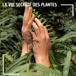 Logo of the podcast La vie secrète des plantes Podcast La vie secrète des plantes
