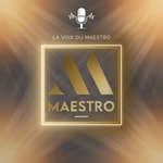 Logo of the podcast La voix du Maestro Immobilier Podcast La voix du Maestro Immobilier