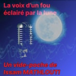Logo of the podcast La voix d'un fou éclairé par la lune Podcast La voix d'un fou éclairé par la lune