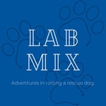 Logo of the podcast Lab Mix: Raising a Rescue Dog Podcast Lab Mix: Raising a Rescue Dog
