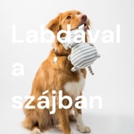Logo of the podcast Labdával a szájban - Értsük meg a kutyánkat Podcast Labdával a szájban - Értsük meg a kutyánkat