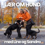 Logo of the podcast LÆR OM HUND Podcast LÆR OM HUND