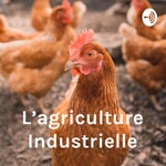 Logo of the podcast L’agriculture Industrielle: La Volaille Podcast L’agriculture Industrielle: La Volaille