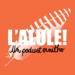 L'Alule ! Un podcast ornitho🪶 L'Alule ! Un podcast ornitho🪶