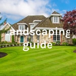 Logo of the podcast Landscaping guide | Eden Landscaping Services Podcast Landscaping guide | Eden Landscaping Services