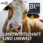 Logo of the podcast Landwirtschaft und Umwelt Podcast Landwirtschaft und Umwelt