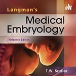 Logo of the podcast Langman's Medical Embryology Podcast Langman's Medical Embryology