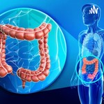Logo of the podcast Large intestine function Podcast Large intestine function