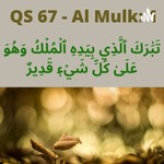 Logo of the podcast Latihan Al Mulk 1 Ayat Per Hari Podcast Latihan Al Mulk 1 Ayat Per Hari