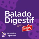 Podcast Le Balado Digestif