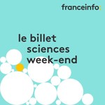 Logo of the podcast Le billet sciences du week-end Podcast Le billet sciences du week-end