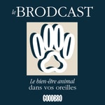 Logo of the podcast Le Brodcast - le podcast qui prend soin des animaux et de leur famille Podcast Le Brodcast - le podcast qui prend soin des animaux et de leur famille