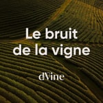 Logo of the podcast Le Bruit de la Vigne Podcast Le Bruit de la Vigne