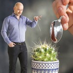 Logo of the podcast Le cactus Podcast Le cactus