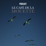 Logo of the podcast Le Café de la Mouette Podcast Le Café de la Mouette
