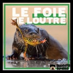Logo of the podcast Le Foie De Loutre Podcast Le Foie De Loutre