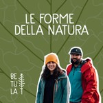 Logo of the podcast Le forme della natura Podcast Le forme della natura