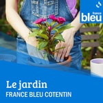 Podcast Le jardin France Bleu Cotentin