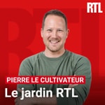 Logo of the podcast Le jardin RTL Podcast Le jardin RTL