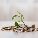 Podcast le mindset du millionnaire