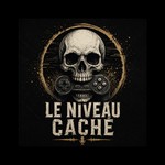 Logo of the podcast Le Niveau Caché Podcast Le Niveau Caché