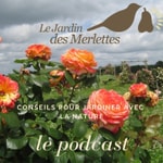 Logo of the podcast Le podcast du Jardin des Merlettes Podcast Le podcast du Jardin des Merlettes