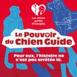Le pouvoir du chien guide - Histoires vraies et témoignages : handicap et inclusion Podcast Le pouvoir du chien guide - Histoires vraies et témoignages : handicap et inclusion