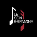 Logo of the podcast Le Son Dopamine Missing podcast logo
