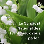 Logo of the podcast Le Syndicat National des Territoriaux vous parle ! Podcast Le Syndicat National des Territoriaux vous parle !