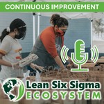 Podcast Lean Six Sigma Ecosystem: Continuous Improvement