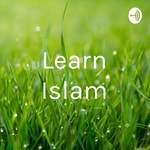 Logo of the podcast Learn Islam Podcast Learn Islam