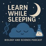 Learn While Sleeping Podcast Learn While Sleeping