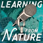 Learning from Nature: The Biomimicry Podcast with Lily Urmann Podcast Learning from Nature: The Biomimicry Podcast with Lily Urmann