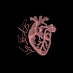 Logo of the podcast LEBAB Podcast LEBAB
