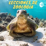 Logo of the podcast Lecciones de Zoologia Podcast Lecciones de Zoologia