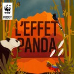 Logo of the podcast L'Effet Panda Podcast L'Effet Panda
